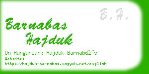 barnabas hajduk business card